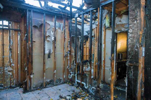 Professional Odor Removal technician working in Garrett, TX